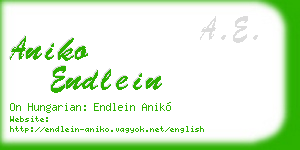 aniko endlein business card